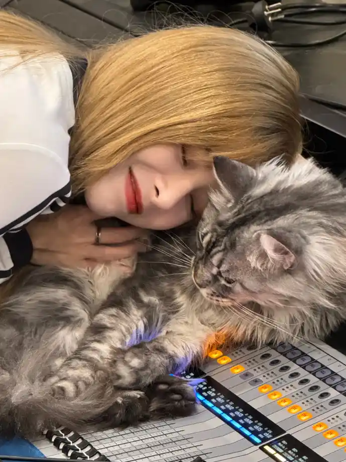 今日头条用户增长曲线